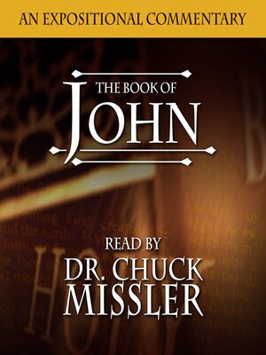 cover image of The Book of John